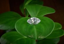 Rare Carat’s Role in Ethical Diamond Sourcing: Promoting Responsible Choice Ethical Diamond